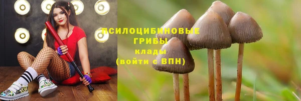 MESCALINE Абаза