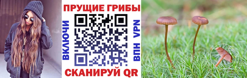 MEGA tor  Туринск  Псилоцибиновые грибы ЛСД  купить наркоту 